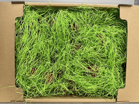 【岐阜県産】得トク！ミディトマト🍅3㎏