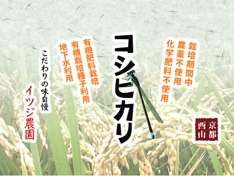【R5年度】コシヒカリ・白米無洗米（5kg）【栽培期間中　農薬・化学肥料不使用】