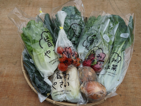 栄養価コンテスト10冠達成！旨み野菜セット【M】