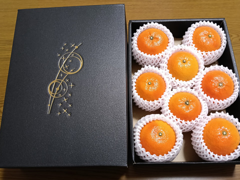 奄美完熟たんかん　贈答化粧箱　（秀品・糖度１１度以上）8個
（光センサー選別 ２Ｌ～Ｌ）