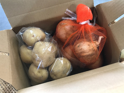 《北海道産》味自慢！秋の野菜セット