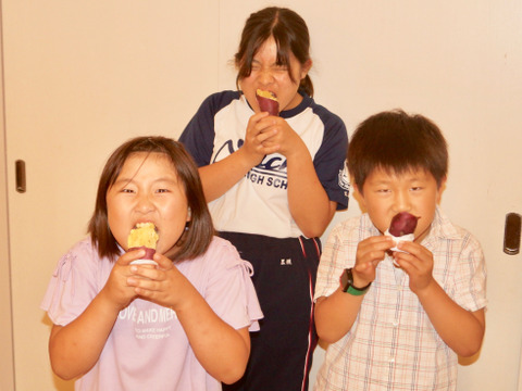 【令和7年新芋🍠】ご家庭サイズ「土佐紅」約2kgホクホクさつまいも (S〜Mサイズ)