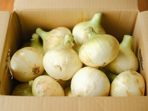 【予約商品】糖度９〜10度！! 甘い！！　淡路島スイートオニオン たまねぎ(5キロ)