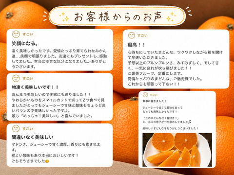 【まどんなの早期予約割引！】まどんな 2kg【冬ギフト】