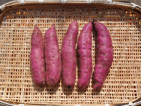 【かずっちゃん様専用】　紅はるか　平干し1kg 
さつまいも（紅はるか）Sサイズ　2kg