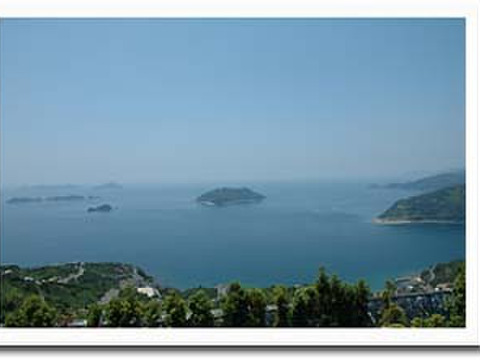 濃厚果汁！南津海（なつみ）贈答用3Kg