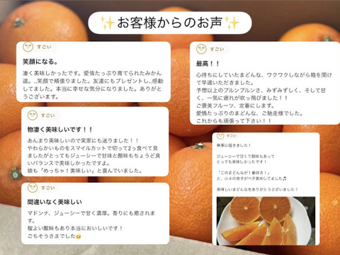 【食べチョク5周年目・感謝価格】まどんな 5kg×2箱【冬ギフト】【愛媛県産】