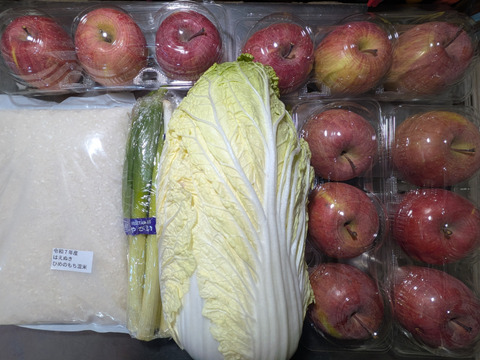 野菜(白菜、ネギ)、お米、リンゴの詰め合わせ