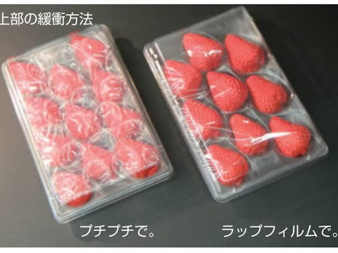 贈答用岡山県産さちのか(大粒9粒入りパック×2)