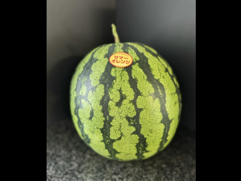 糖度14【サマーオレンジ】スイカ