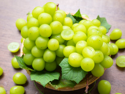 【限定25セット】 ご自愛セット／白ぶどう🍇（食べチョク公式）