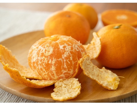 極早生みかん　　酸味が少なく食べやすいみかんです。皮はまだ緑色ですが中身はオレンジ色‼️  プチっと弾けるとみかんの香りがします。