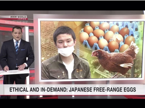 リピート率7割の弾力びっくり！平飼い卵！（6パック:60個）