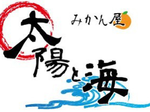 愛媛のみかんジュース⭐︎飲み比べ3本セット