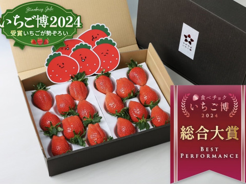 【いちご博2024総合大賞】新鮮完熟やよいひめ（約800g）