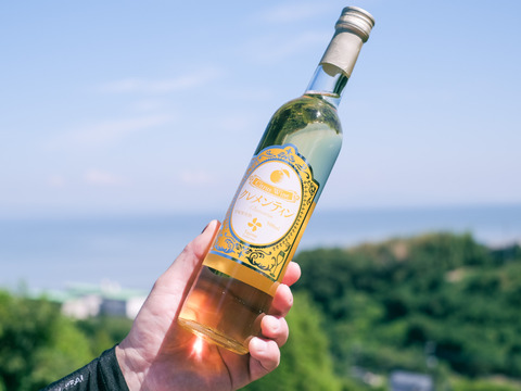 【短期熟成の甘口ワイン2本】サングリアにして飲むのがオススメ クレメンティンワイン500㎖と太幸ワイン500㎖どちらもアルコール度数6％
