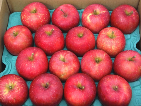 ★早生ふじ★１０ｋｇ★大玉中玉★訳あり★