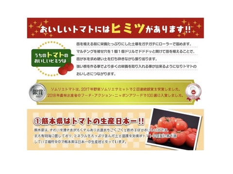 【食べ比べ】【極み】ソムリエトマト１.３kg （６玉から１０玉）ソムリエミニトマト　プラチナ１kgのセット