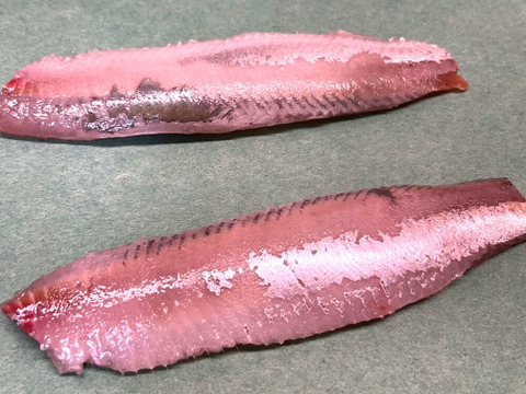 【2週間の奇跡】宝鰯/体脂肪質20～30％/小羽10匹×/330~400g【冷凍】