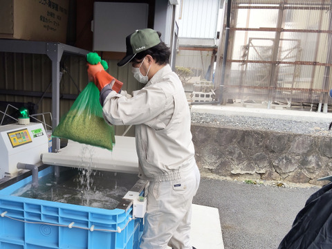 農薬節約栽培ゆうだい21 精米10㎏：岩手県産のゆうだい21｜食べチョク