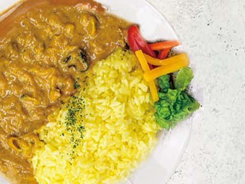 かきカレー食べ比べ6食セット　生食用かきを贅沢に使用！　レトルトカレー　かきの旨みがたっぷり♪　かきーマカレー×3　かなわのかきカレー×3