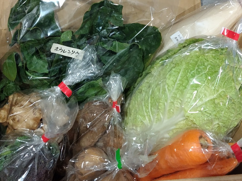 ♪人気商品♪『農薬、化学肥料不使用』【2~3人前】
季節の野菜Sセット（8-9品）「群馬県高崎産」