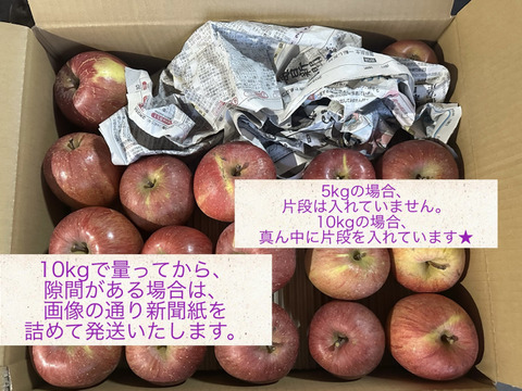 食品・飲料・酒青森県産無農薬サンフジりんご10キロ送料無料