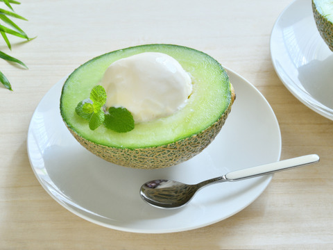 茨城県産 アールスメロン 2玉【特秀】