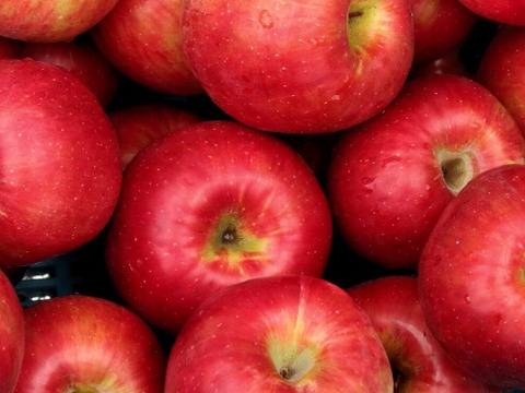 紅玉SSミニ小玉 約17玉（約2.5㎏）
宝石のようなちっちゃい紅玉　
そのまま丸かじりで　ジャムやタルトにも最高
バラ詰めでお届け