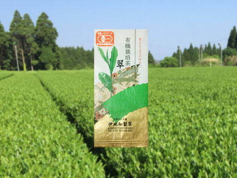 【有機栽培茶】鹿児島県産　上級煎茶「翠」【100g×3袋】