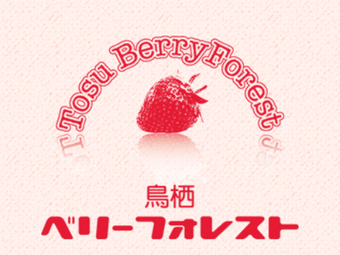 【投稿CP商品】【鮮度そのまま！】 甘みそのまま冷凍いちご　ワフサク食感！瞬間冷凍で鮮度抜群！ヨーグルトやアイスなどデザートにお手軽！（5種ミックス500g×2袋）