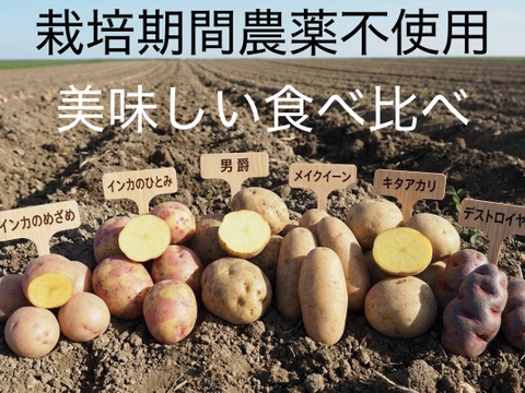 【食べ比べセット】絶品！希少品種込！新じゃがミックス　4種 4kg