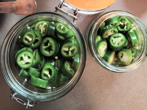 メキシコ原産青唐辛子ハラペーニョ1.5kg（約40本）