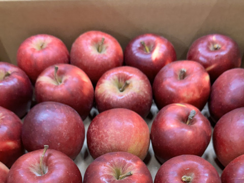 【加工用バラ詰め】小玉の紅玉!! スイーツ、お菓子、加工用・業務用🍎約2.7Kg青森県産