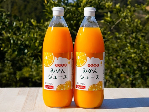 果汁100％　温州みかんジュース【1000ml×２本入り】