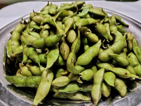 【最短出荷】丹波篠山産 丹波黒枝豆　新鮮・採れたて配送！　莢（さや）の実　1ｋｇ