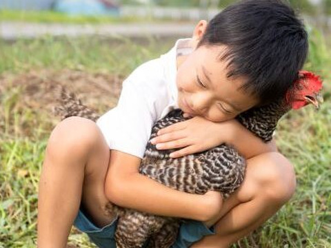 放し飼い鶏の長期育成肉「俺のすべて」＜カット＞