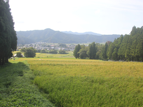 米粉　５００ｇ　自然栽培　ササニシキ