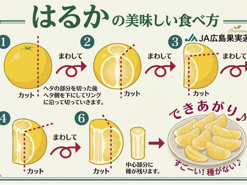 訳あり はるか ５ｋｇ　M玉中心