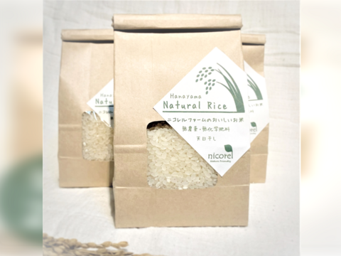 【美味しいお米】白米 2合お試しパック　農薬化学肥料不使用・自然乾燥のお米