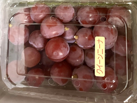 レア品種！クイーンニーナの切り落とし2パック