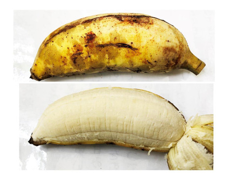 【特別価格！】大人気！ブラジルバナナ＆ナムワバナナ計１kg