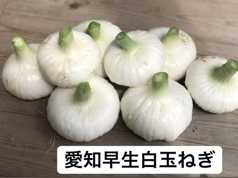 京都産 新玉ねぎ2種セット(各2kg)【漢方栽培】