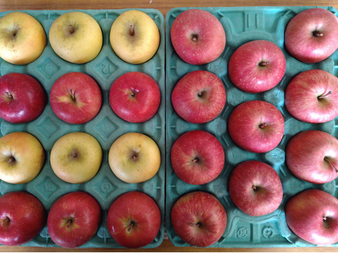 りんご3種詰合せ 葉とらずふじ・シナノゴールド・シナノスイート 5kg（18〜28個）