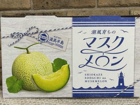 潮風育ち！高級マスクメロン2玉！！：愛知県産のアールスメロン｜食べ