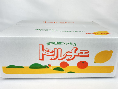 これぞまさに！【柑橘の大トロ👑】果汁溢れる💓ハウスせとか”ドルチェみかんシリーズ”✨箱込3kg