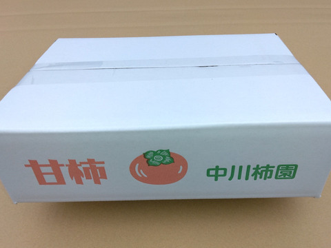 甘柿『輝太郎柿』甘くて美味しい 　サイズ４Ｌ・５個 ・１.55kg以上 白箱入り
