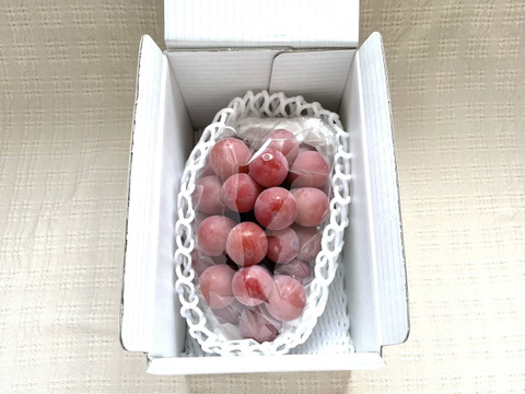 クイーンニーナ 約600g 種なし (1房)：茨城県産のクイーンニーナ｜食べ