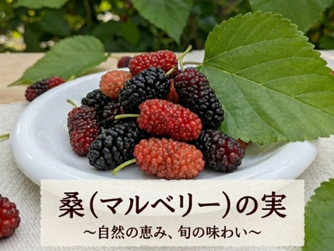 桑の実☆冷凍☆農薬等不使用☆自然栽培☆30個入り☆マルベリーの実☆スーパーフードマルベリー☆ヤマト連携冷凍便でお届け※数に限りがございますのでお一人様１袋分のみのご注文となります※桑の葉は含まれません