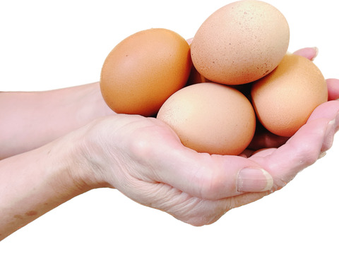 【平飼い赤鶏】産卵して24時間以内の朝採れたまご『規格外』超特価でお届けします。50個【不定期】